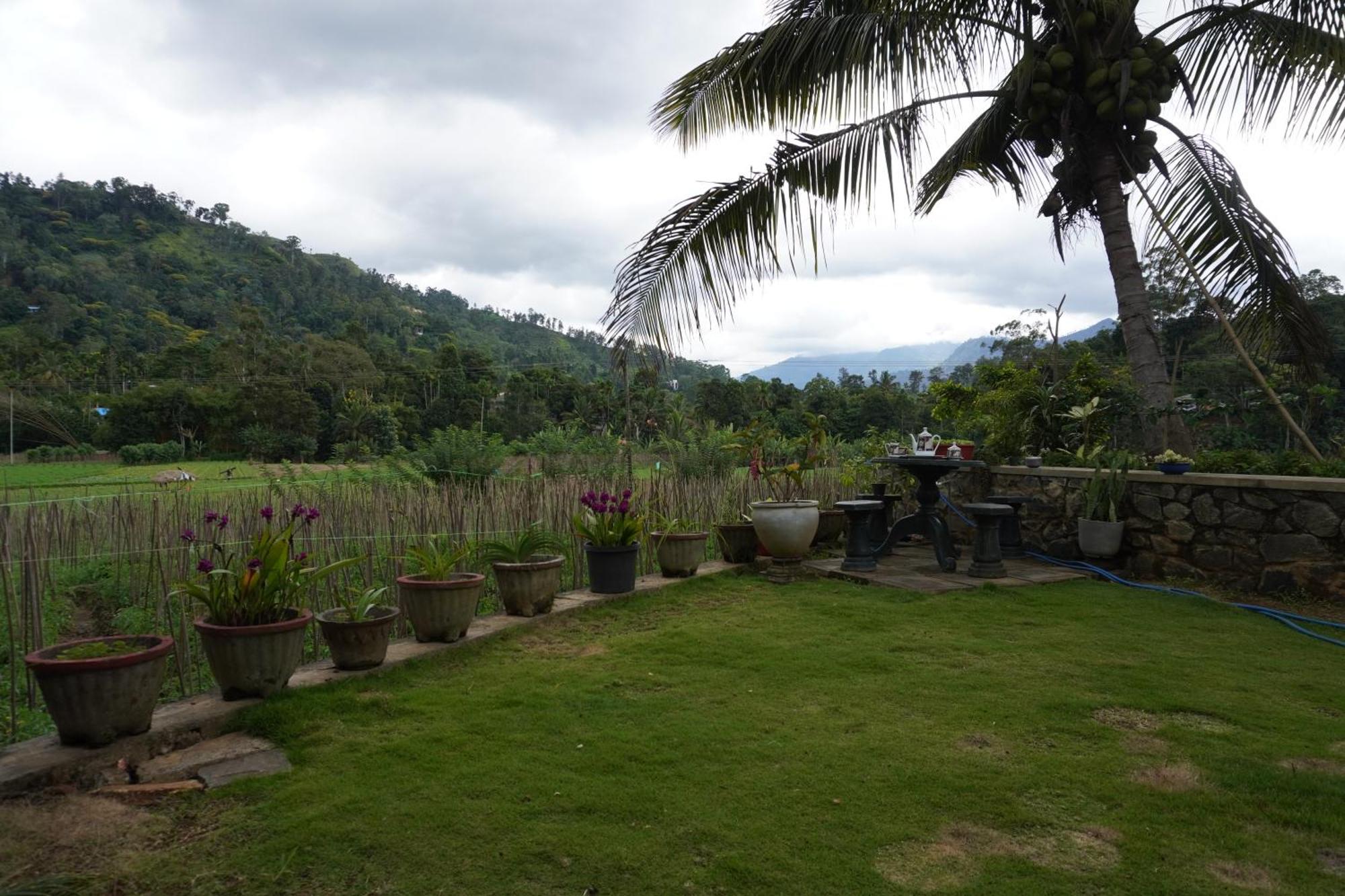Ella Nature Valley Homestay Exterior foto